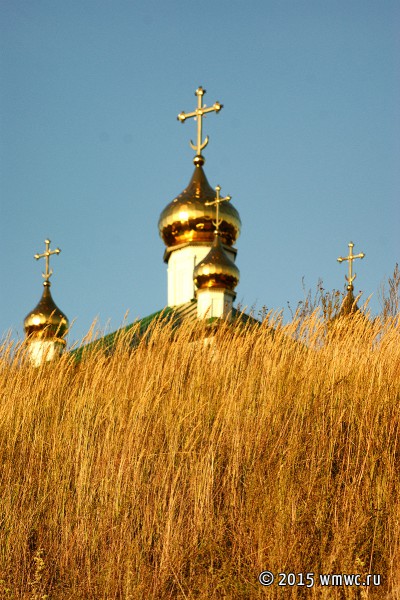 Свято-Дмитриевский Скопинский мужской монастырь