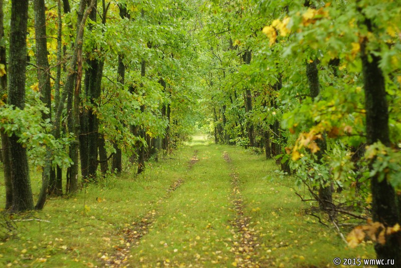 DSC04823