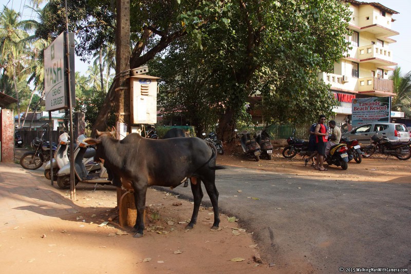 DSC05437