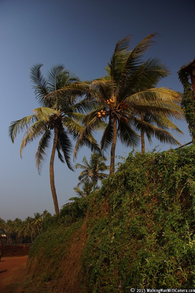 DSC05460