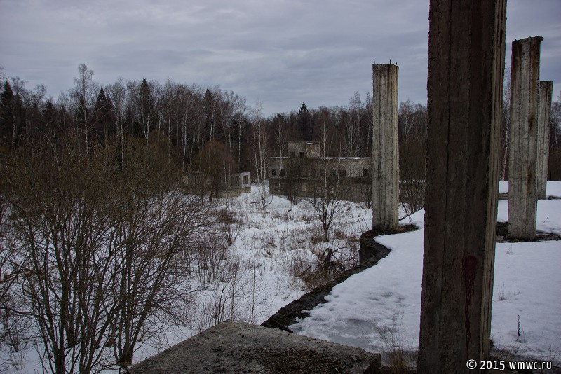 DSC06597