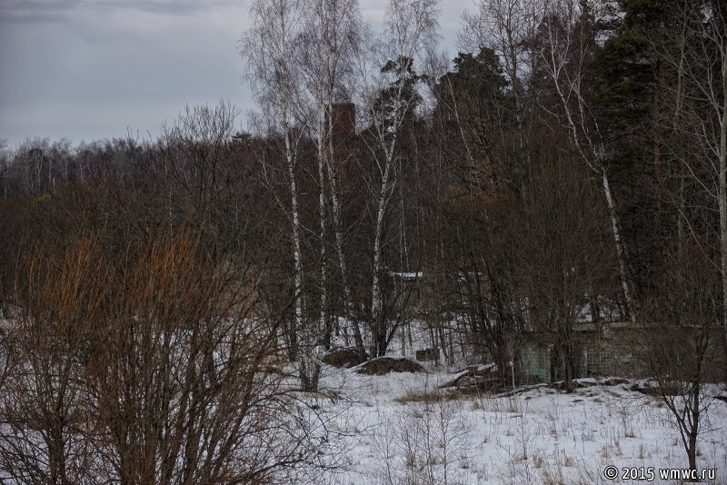 DSC06599