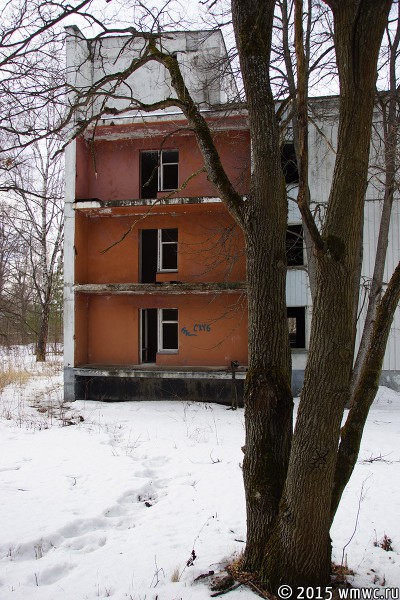 DSC06619