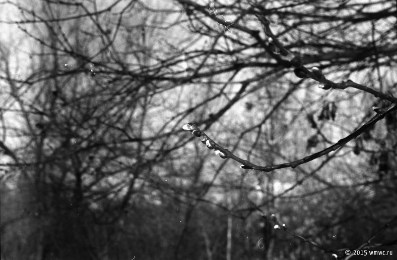 IMG_20150302_0030