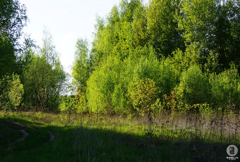 DSC08710